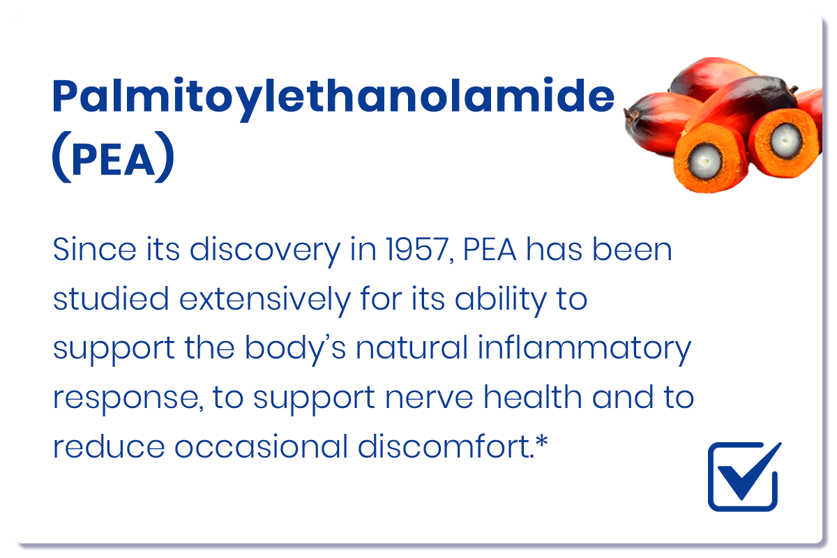 Luhaka™ NeuroEase Nerve Health Support Inhaler_Ultra02 22 1 d281e3d1 3036 4ecf 9154 1bb5ee94adae